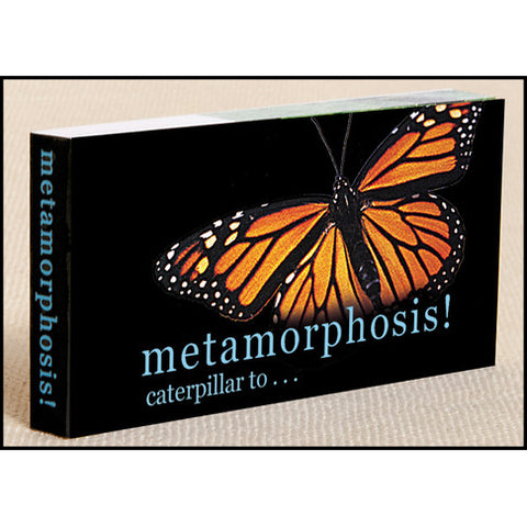 Butterfly Metamorphosis Flipbook - Brain Spice