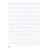 Laminated Teaching Sheet - Handwriting NSW (A1 Size) - Brain Spice