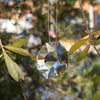 Rainbow Prism - Crystal Sun Catcher - Brain Spice