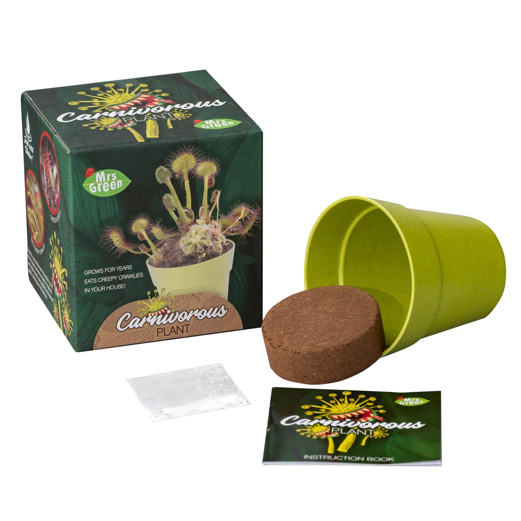 Carniverous Plant - Brain Spice